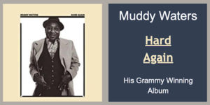 Postcard - Muddy Waters Album - Hard Again