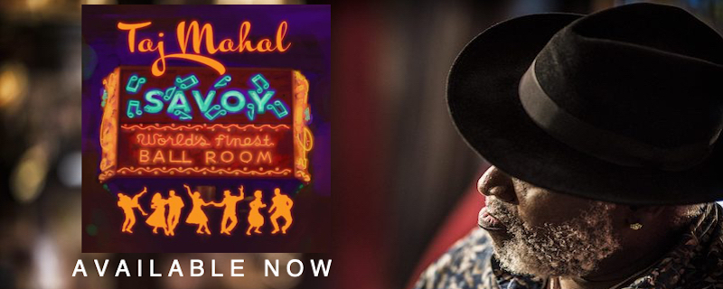 Advert - Taj Mahal Album 1 - Savoy