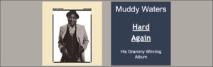 Banner - Muddy Waters Album - Hard Again